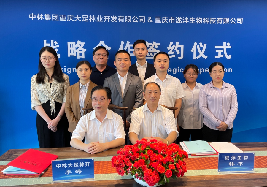 fileUpload (12).jpeg