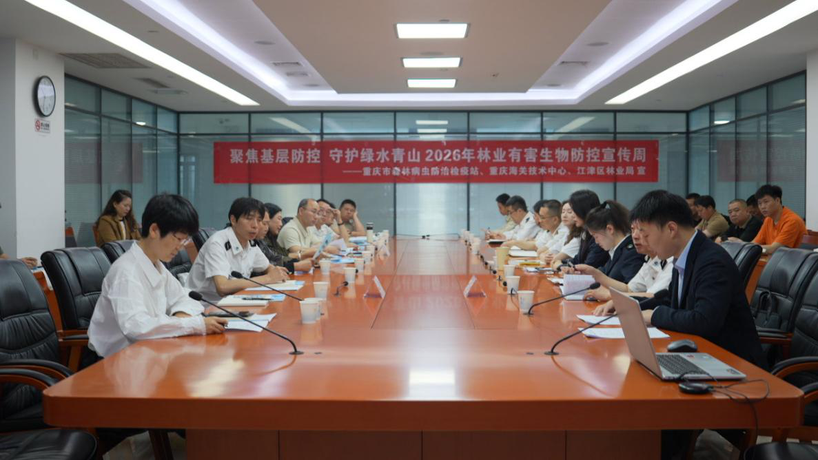 图片11.png