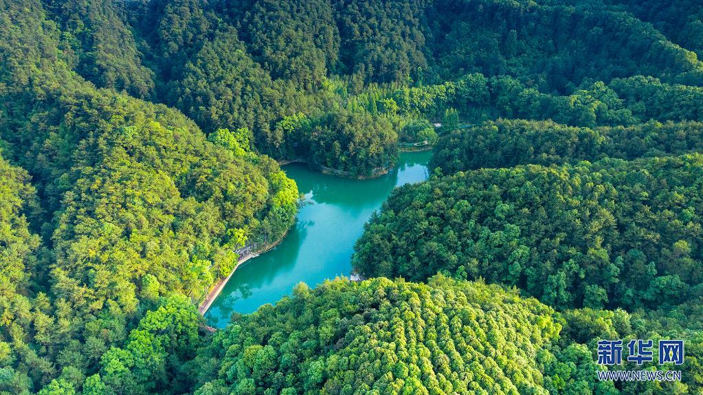 新华社:不负青山 力换"金山—重庆缙云山国家级自然保护区蝶变记