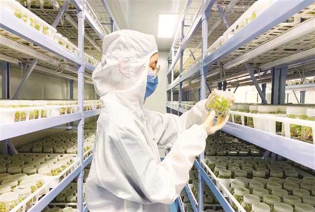 重庆日报:潼南 珍稀树种科研实验室运营_媒体报道_重庆市林业局