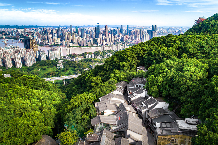 新华网城市绿肺市民花园沿着四山看重庆主题摄影大赛精选作品