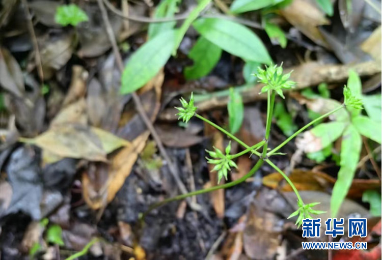 微信图片_20230530170722.jpg